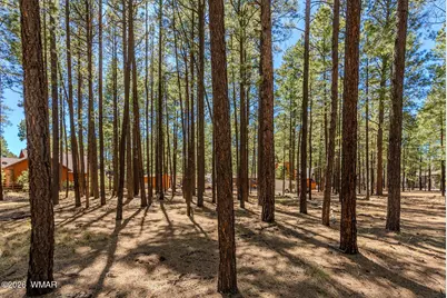 4583 Sky Hi Road, Pinetop, AZ 85935 - Photo 39