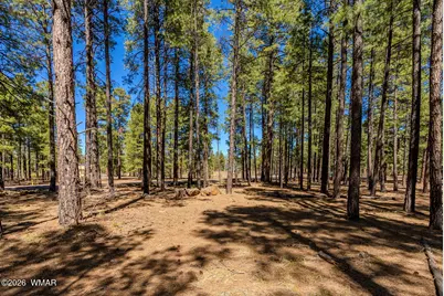 4583 Sky Hi Road, Pinetop, AZ 85935 - Photo 37