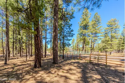 4583 Sky Hi Road, Pinetop, AZ 85935 - Photo 41