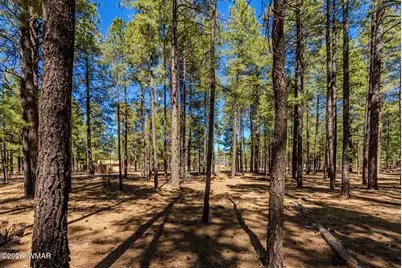 4583 Sky Hi Road, Pinetop, AZ 85935 - Photo 15