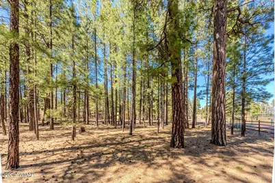 4583 Sky Hi Road, Pinetop, AZ 85935 - Photo 17