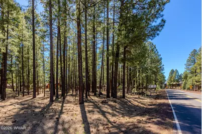 4583 Sky Hi Road, Pinetop, AZ 85935 - Photo 29