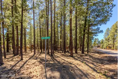 4583 Sky Hi Road, Pinetop, AZ 85935 - Photo 43