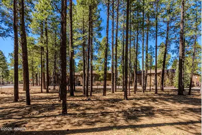 4583 Sky Hi Road, Pinetop, AZ 85935 - Photo 11