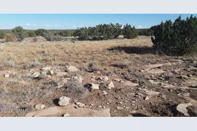 2036 Celeste Camino, Heber, AZ 85928 - Photo 5