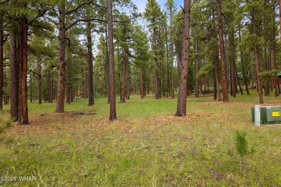 12 N1067, Greer, AZ 85927 - Photo 3