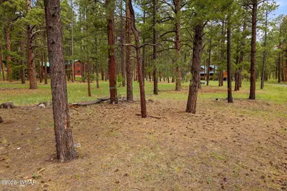 12 N1067, Greer, AZ 85927 - Photo 19