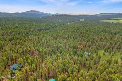 12 N1067, Greer, AZ 85927 - Photo 13