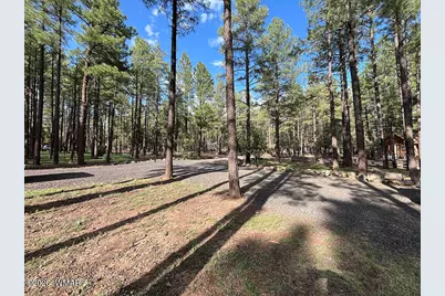 174 Elk Drive, Lakeside, AZ 85929 - Photo 43