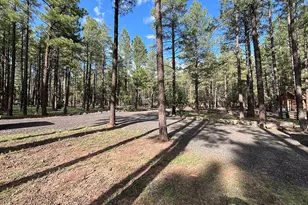 174 Elk Dr, Lakeside, AZ 85929 - Photo 43