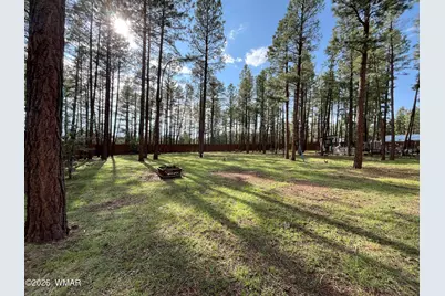 174 Elk Drive, Lakeside, AZ 85929 - Photo 41