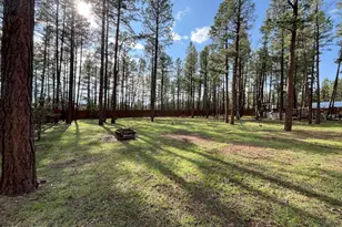 174 Elk Dr, Lakeside, AZ 85929 - Photo 41