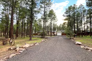 174 Elk Dr, Lakeside, AZ 85929 - Photo 47