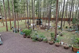 174 Elk Dr, Lakeside, AZ 85929 - Photo 5