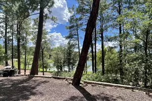 416 W Rock Ln, Lakeside, AZ 85929 - Photo 19