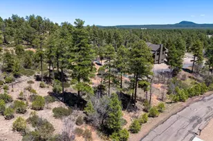 6007 Rim Rd, Lakeside, AZ 85929 - Photo 1
