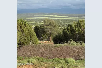 61 County Road 8027, Concho, AZ 85924 - Photo 35