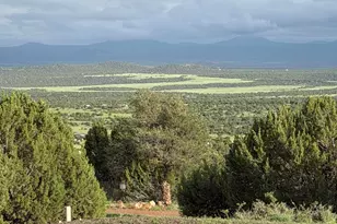 61 County Road 8027, Concho, AZ 85924 - Photo 35