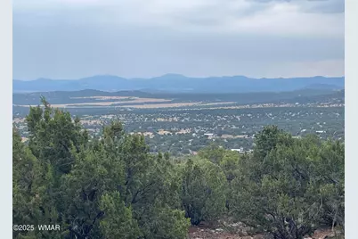 61 County Road 8027, Concho, AZ 85924 - Photo 17
