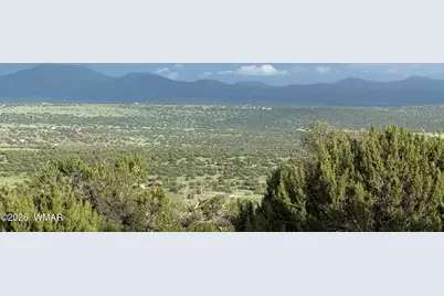 61 County Road 8027, Concho, AZ 85924 - Photo 11