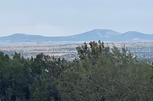 61 County Road 8027, Concho, AZ 85924 - Photo 15