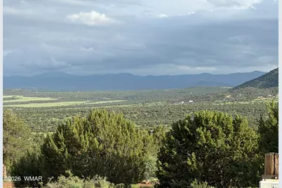 61 County Road 8027, Concho, AZ 85924 - Photo 9