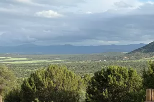 61 County Road 8027, Concho, AZ 85924 - Photo 9