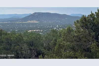 61 County Road 8027, Concho, AZ 85924 - Photo 19