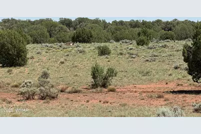 104 N N9201, Concho, AZ 85924 - Photo 31