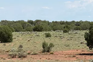 104 N N9201, Concho, AZ 85924 - Photo 31