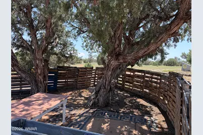 104 N N9201, Concho, AZ 85924 - Photo 39