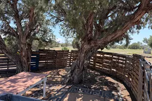 104 N N9201, Concho, AZ 85924 - Photo 39