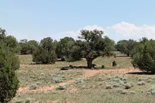 104 N N9201, Concho, AZ 85924 - Photo 27