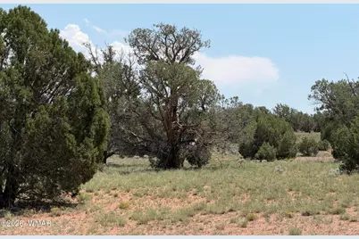 104 N N9201, Concho, AZ 85924 - Photo 29