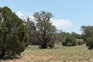 104 N N9201, Concho, AZ 85924 - Photo 29