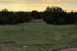 2141 Mazatzal St, Show Low, AZ 85901 - Photo 15