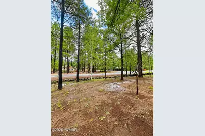 4201 Moon Creek, Pinetop, AZ 85935 - Photo 3