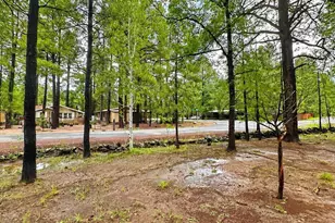 4201 Moon Creek, Pinetop, AZ 85935 - Photo 3
