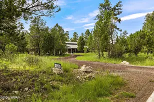 2970 Pine Rim Rd, Overgaard, AZ 85933 - Photo 23