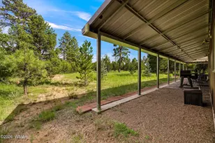 2970 Pine Rim Rd, Overgaard, AZ 85933 - Photo 3