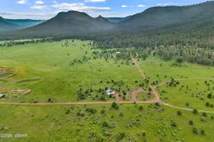2 N 2166, Nutrioso, AZ 85932 - Photo 25