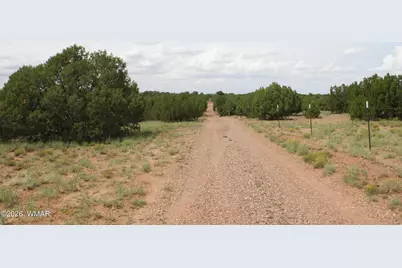 Tbd N8595, Concho, AZ 85924 - Photo 13
