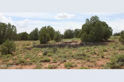 Tbd N8595, Concho, AZ 85924 - Photo 5