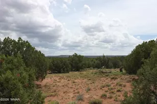 Tbd N8595, Concho, AZ 85924 - Photo 1