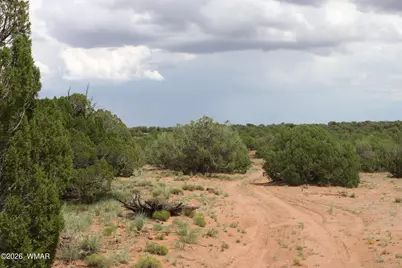 Tbd N8595, Concho, AZ 85924 - Photo 9
