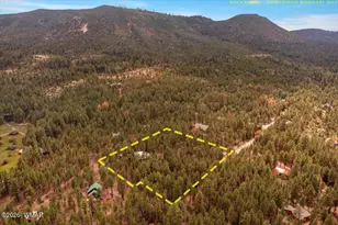 14 County Rd 2135, Alpine, AZ 85920 - Photo 43