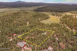14 County Rd 2135, Alpine, AZ 85920 - Photo 41