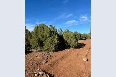 8754 Clark Road, Show Low, AZ 85901 - Photo 1
