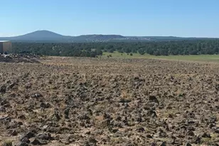 8489 Antelope Dr, Show Low, AZ 85901 - Photo 1