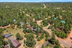 2976 Pine Rim Rd, Overgaard, AZ 85933 - Photo 27